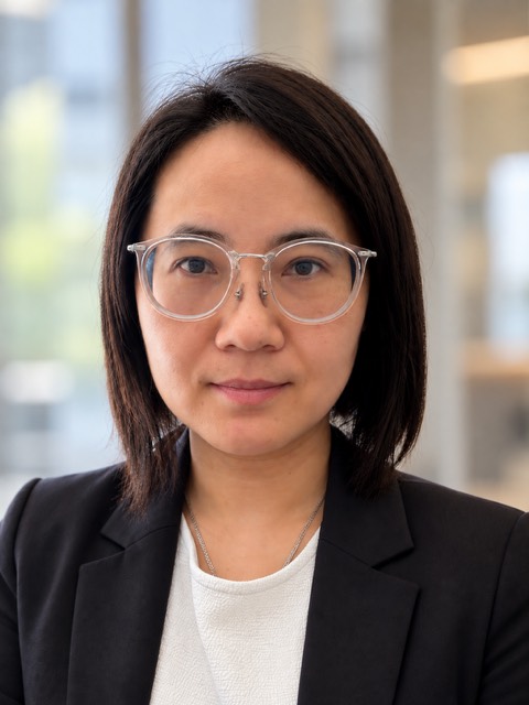 Professor Dilin Wang
